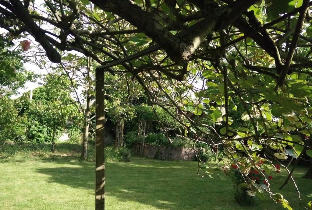 Gentil'Home - Toulouse B&B Prestige Fenouillet  Exteriör bild